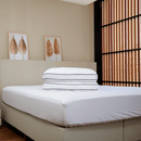Travesseiro Comfort Aucaliptex + Kit de Fronhas Grátis